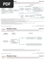 CA Treatment Phyllodes Web Algorithm