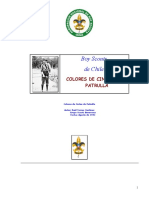 Colores de Cintas de Patrulla PDF