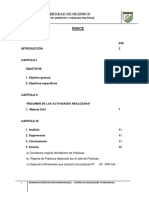 Informe de Prácticas Pre Profesionales