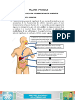 Taller Conceptualizacion - y - Clasificacion - de - Alimentos