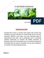 Gestión Del Medio Ambiente 1