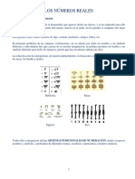 NOTAS 02 Números Reales PDF