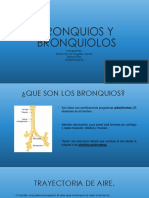 Bronquios y Bronquiolos 