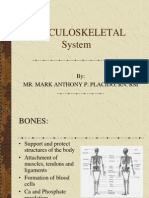 Musculoskeletal (Sir Mhacky)