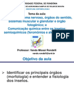 Fisiologia: Sistema Nervoso, Órgãos Do Sentido, Sistemas Muscular e Glandular e Órgão Fotogênico e Comunicação Química Entre Os Insetos: Semioquímicos (Feromônios e Aleloquímicos)