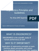 Ergonomics Principles and Guidelines