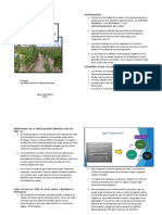 Manual Del Estudiante Modulo 1 Producción de Microorganismos Eficientes Nativos Del Desierto-MENDE