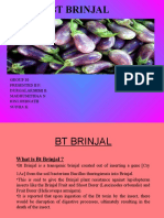 BT Brinjal: Group 10 Presented By: Durgalakshmi B. Madhumithaa N. Rini Debnath Sudha K