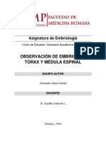 Informe 6