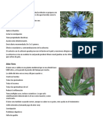 20 Plantas Medicinales