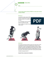 Ecole Mathematiques PGCD PPCM Sec1 Fiche de Travail F