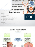 Desarrollo Del Sistema Respiratorio