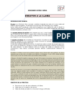 Ensayos A La Llama PDF