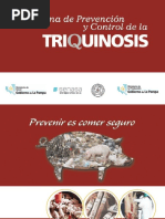 Presentacion Triquinosis