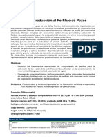 ITP - Programa Curso Introduccion Al Perfilaje PDF