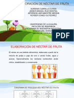 Elaboración de Néctar de Fruta