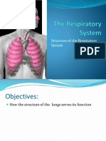 L11. Respiratory System