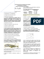 Examen Evolucion