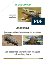 El Cocodrilo