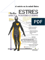 9.5. - Efectos Del Estrés