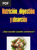 Digestion Absorcion y Nutricion