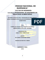 Informe de Practicas Pre Profesionales