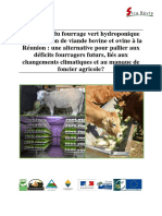 Hydroponie PDF