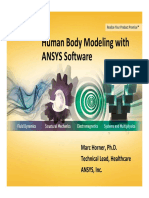 Human Body Modeling ANSYS Software PDF