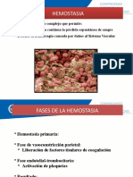 Hemostasia - 1