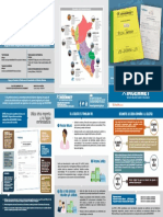 Triptico Formulario de Petitorio Minero