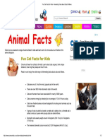 Fun Cat Facts For Kids - Interesting Facts About Cats & Kittens