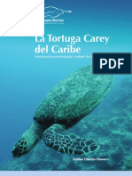 Monografia Carey Del Caribe - WWF D Chacon 2005