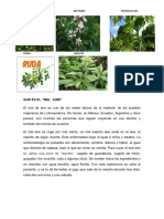 Plantas Medicinales