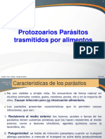 Protozooarios Parásitos 2016. Clase Teoría - II