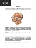 Músculos Masticadores