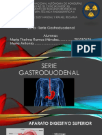 Serie Gastroduodenal 1