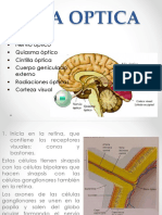 Vía Optica