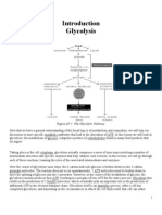 Glycolysis