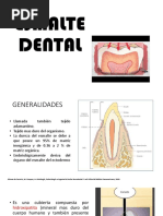 Esmalte Dental