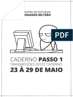 Passo 1 - Revisão Integrada