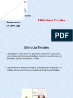 Glandula Tiroides