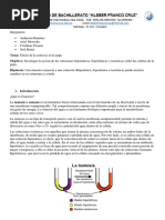 Osmosis n3