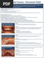 Dental Trauma Flip Chart Permanent