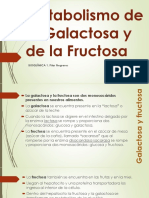 Metabolismo de La Galactosa y La Fructosa