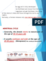 Menstrual Cycle