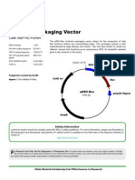 pRSV-Rev Vector 