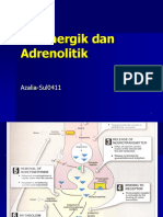 Adrenergik-Antiadrenergik 2013