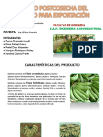 Manejo Postcosecha Del Platano para Exportacion