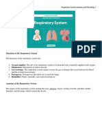 Respiratory System Anatomy and Physiology