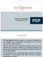 Lac Operon